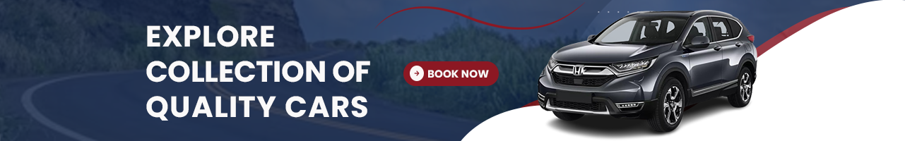 banner-one.png